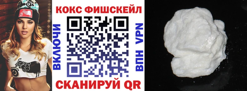 Купить закладки  Черняховск  Кокаин Fish Scale 
